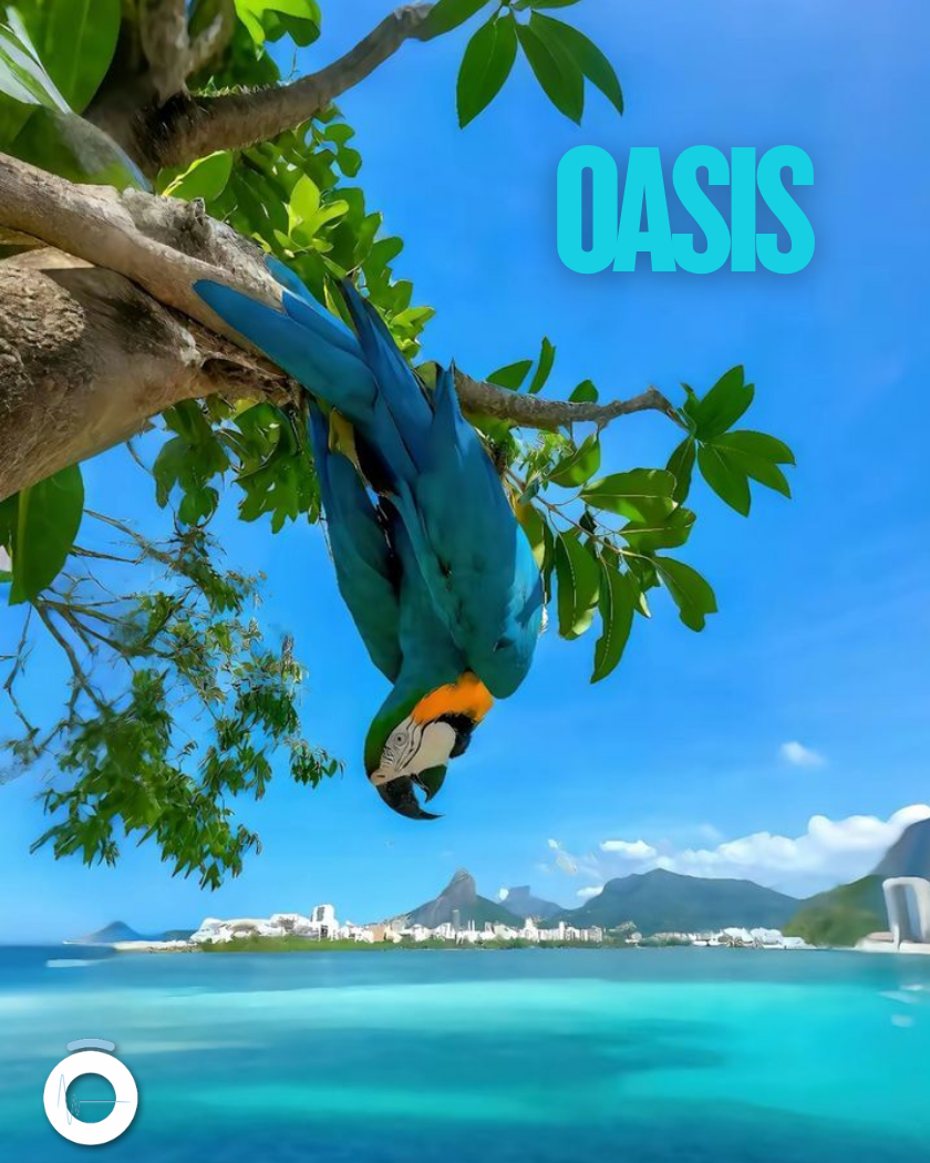 Oasis - Hilo musical libre de derechos para negocios Playlist de hilo musical sin SGAE: Oasis - Ondeón
